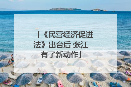 《民营经济促进法》出台后 张江有了新动作
