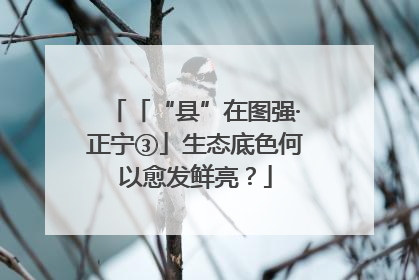 「“县”在图强·正宁③」生态底色何以愈发鲜亮？