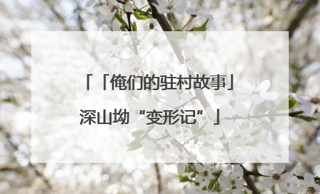 「俺们的驻村故事」深山坳“变形记”