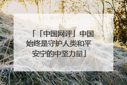 「中国网评」中国始终是守护人类和平安宁的中坚力量