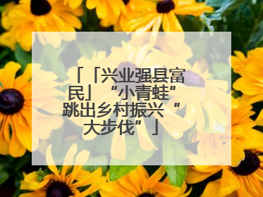 「兴业强县富民」“小青蛙”跳出乡村振兴“大步伐”