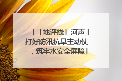 「地评线」河声丨打好防汛抗旱主动仗，筑牢水安全屏障