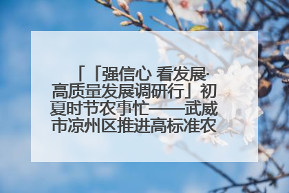 「强信心 看发展·高质量发展调研行」初夏时节农事忙——武威市凉州区推进高标准农田建设见闻