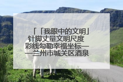「我眼中的文明」针脚丈量文明尺度 彩线勾勒幸福坐标——兰州市城关区酒泉路街道办事处