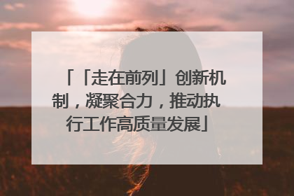 「走在前列」创新机制，凝聚合力，推动执行工作高质量发展