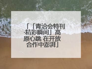 「青洽会特刊·精彩瞬间」高原心跳 在开放合作中澎湃