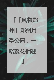 「风物郑州」郑州月季公园：一路繁花相迎