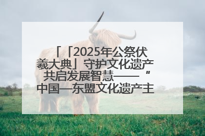 「2025年公祭伏羲大典」守护文化遗产 共启发展智慧——“中国—东盟文化遗产主题对话”侧记