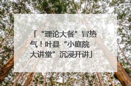 “理论大餐”冒热气！叶县“小庭院 大讲堂”沉浸开讲