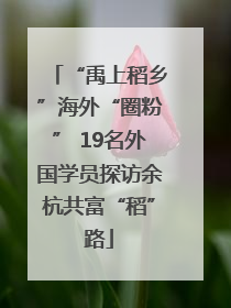 “禹上稻乡”海外“圈粉” 19名外国学员探访余杭共富“稻”路