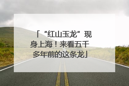“红山玉龙”现身上海！来看五千多年前的这条龙