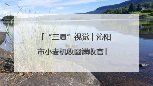 “三夏”视觉｜沁阳市小麦机收圆满收官