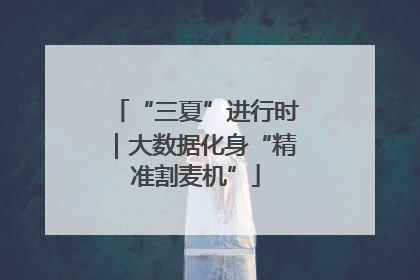 “三夏”进行时｜大数据化身“精准割麦机”