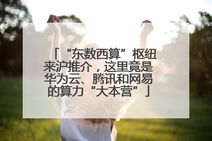 “东数西算”枢纽来沪推介，这里竟是华为云、腾讯和网易的算力“大本营”