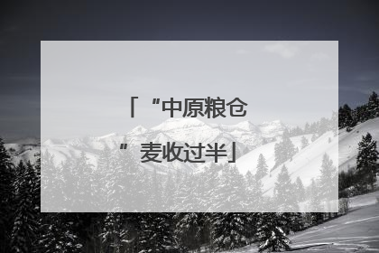 “中原粮仓”麦收过半