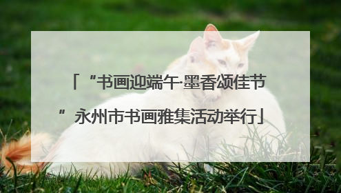 “书画迎端午·墨香颂佳节”永州市书画雅集活动举行