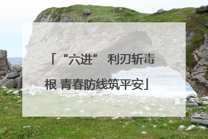 “六进” 利刃斩毒根 青春防线筑平安