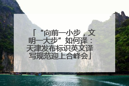 “向前一小步，文明一大步”如何译：天津发布标识英文译写规范迎上合峰会