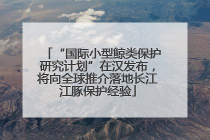 “国际小型鲸类保护研究计划”在汉发布，将向全球推介落地长江江豚保护经验