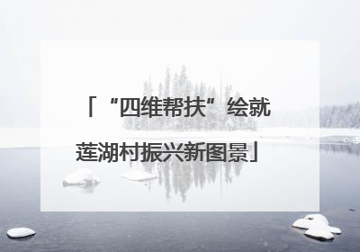 “四维帮扶”绘就莲湖村振兴新图景