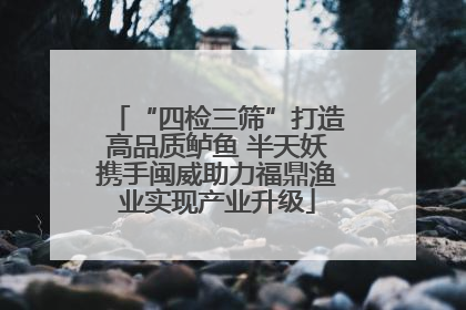 “四检三筛”打造高品质鲈鱼 半天妖携手闽威助力福鼎渔业实现产业升级