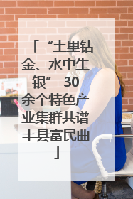 “土里钻金、水中生银” 30余个特色产业集群共谱丰县富民曲