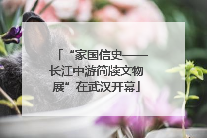 “家国信史——长江中游简牍文物展”在武汉开幕