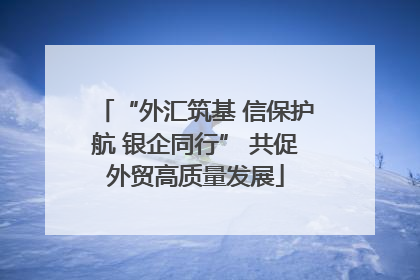 “外汇筑基 信保护航 银企同行” 共促外贸高质量发展