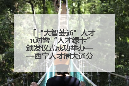 “大智荟通”人才π对暨“人才绿卡”颁发仪式成功举办——西宁人才周大通分会场亮点纷呈