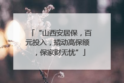 “山西安居保，百元投入，撬动高保额，保家财无忧”