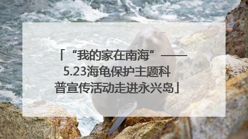 “我的家在南海”——5.23海龟保护主题科普宣传活动走进永兴岛