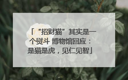 “招财猫”其实是一个熨斗 博物馆回应：是猫是虎，见仁见智