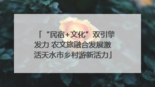 “民宿+文化”双引擎发力 农文旅融合发展激活天水市乡村游新活力