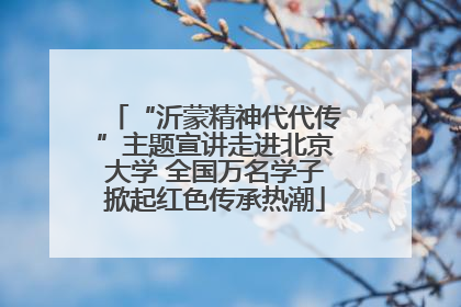“沂蒙精神代代传”主题宣讲走进北京大学 全国万名学子掀起红色传承热潮