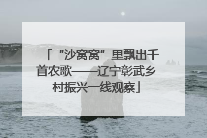 “沙窝窝”里飘出千首农歌——辽宁彰武乡村振兴一线观察