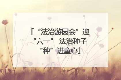 “法治游园会”迎“六一” 法治种子“种”进童心