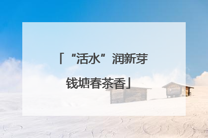 “活水”润新芽 钱塘春茶香