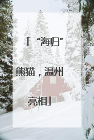 “海归”熊猫，温州亮相