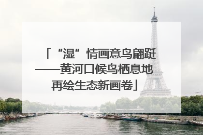 “湿”情画意鸟翩跹——黄河口候鸟栖息地再绘生态新画卷