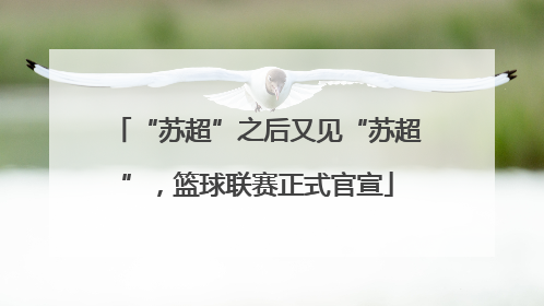 “苏超”之后又见“苏超”，篮球联赛正式官宣