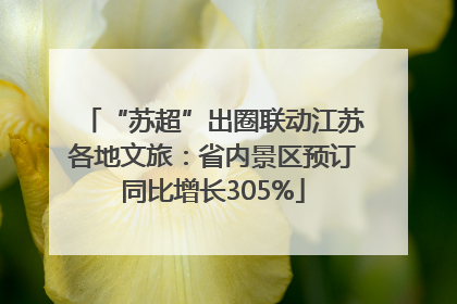 “苏超”出圈联动江苏各地文旅：省内景区预订同比增长305%