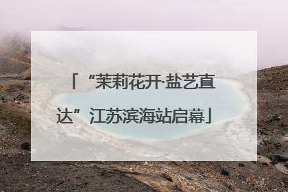 “茉莉花开·盐艺直达”江苏滨海站启幕