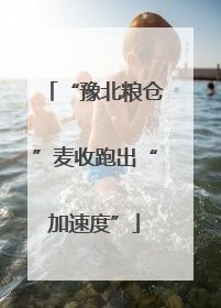 “豫北粮仓”麦收跑出“加速度”