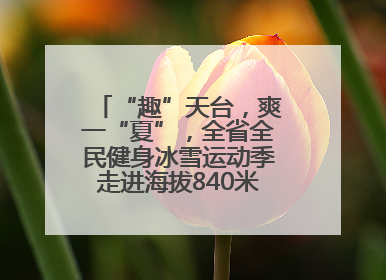 “趣”天台，爽一“夏”，全省全民健身冰雪运动季走进海拔840米的天台山