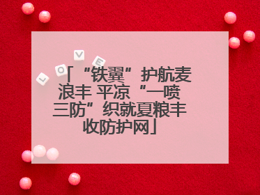 “铁翼”护航麦浪丰 平凉“一喷三防”织就夏粮丰收防护网