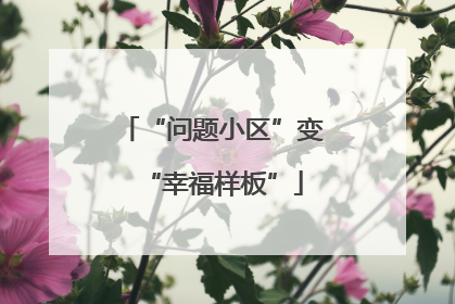“问题小区”变“幸福样板”