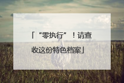 “零执行”！请查收这份特色档案