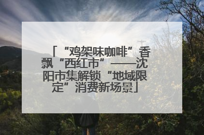“鸡架味咖啡”香飘“西红市”——沈阳市集解锁“地域限定”消费新场景