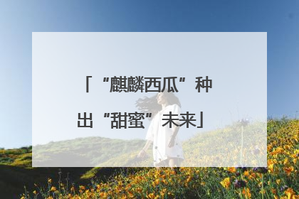 “麒麟西瓜”种出“甜蜜”未来