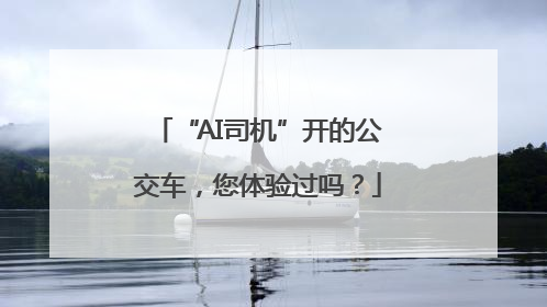 “AI司机”开的公交车，您体验过吗？